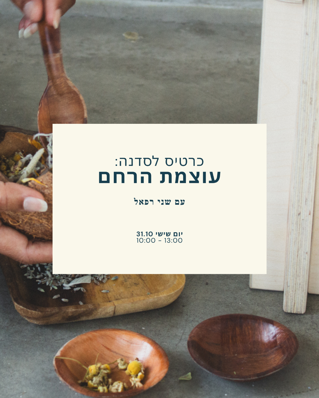 כרטיס לסדנה: עוצמת הרחם
